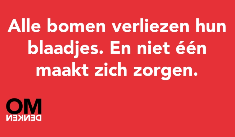 Tegel van - Alle bomen verliezen hun blaadjes. En niet één maakt zich zorgen.