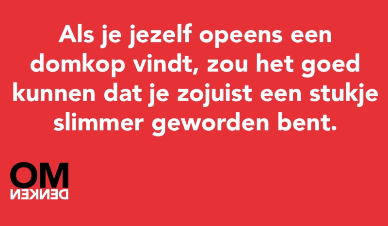 Tegel van - Als je jezelf opeens een domkop vindt